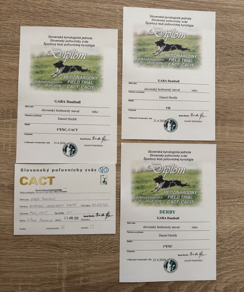 gaba-danibull-field-trial2